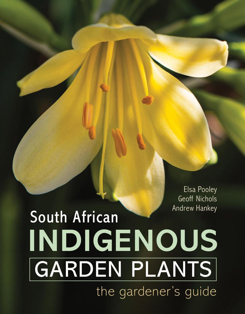 SA Indigenous Garden Plants