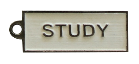 Study Keyring – Vendange